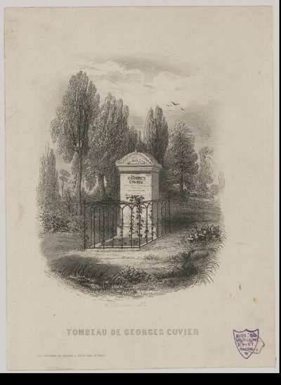 Tomb of Georges Cuvier by E. Chavanne